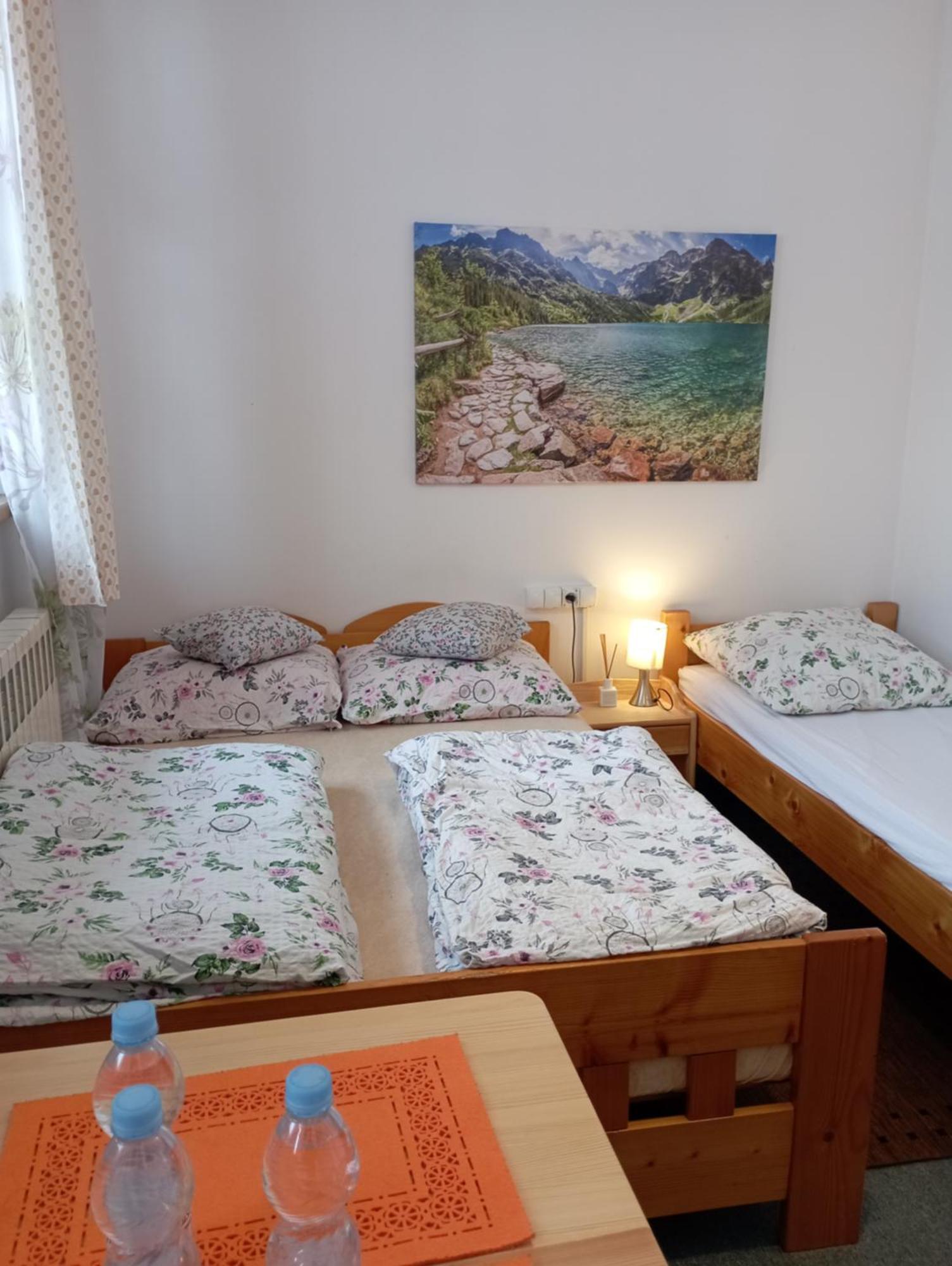 A3Apartament 2 Pokojowy Aneks Kuchenny 2 Lazienki Wlasne Na Korytarzu Villa Jumper Pobyt Na Termach Dla 2 Osob Gratis Ζακοπάνε Δωμάτιο φωτογραφία